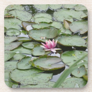 Kurk Onderzetters set van 6- Monet Garden Lily Pad