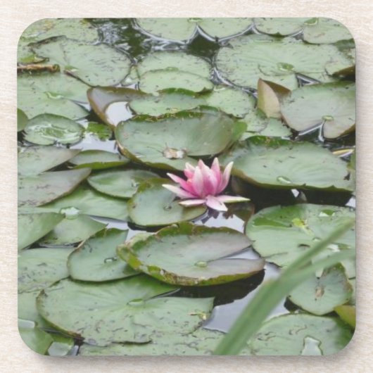 Kurk Onderzetters set van 6- Monet Garden Lily Pad (Voorkant)
