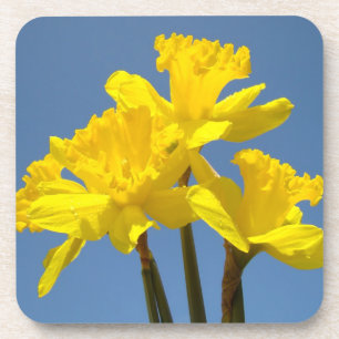 Kurken Onderzetters natuur Narcissen Bloemen Narci