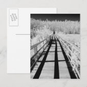 Kurkentrekker Swamp Sanctuary boardwalk, Florida, Briefkaart (Voorkant / Achterkant)