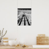 Kurkentrekker Swamp Sanctuary boardwalk, Florida, Poster (Keuken)