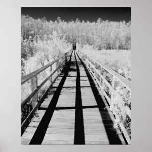 Kurkentrekker Swamp Sanctuary boardwalk, Florida, Poster