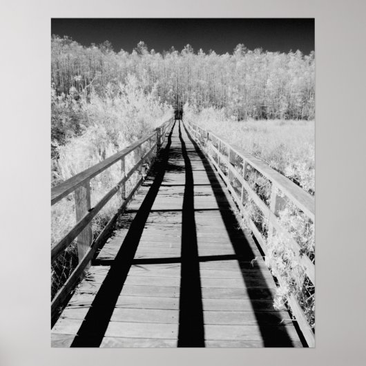 Kurkentrekker Swamp Sanctuary boardwalk, Florida, Poster (Voorkant)