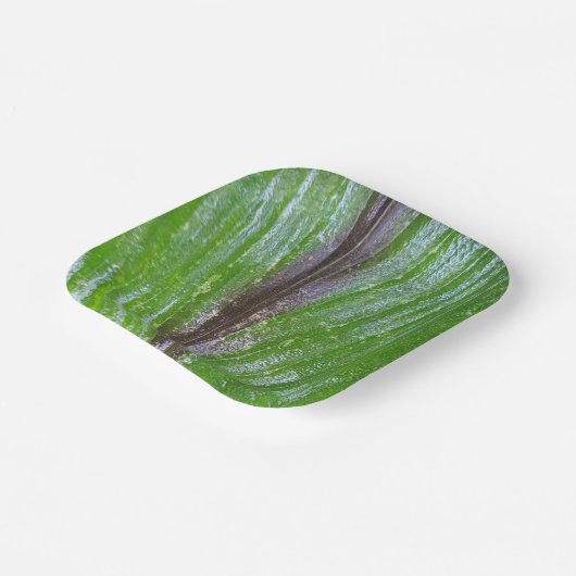 Kurkuma groen blad 7" vierkant papier Borden Papieren Bordje (Gebogen)