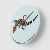 Kuroiwa's Ground GECKO - Bedreigde diersoorten Ronde Klok (Hoek)