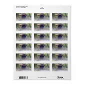 Kurtz Mill gedekte brug retour adreslabels Etiket (Full Sheet)