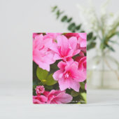 Kurume Azalea Briefkaart (Staand voorkant)