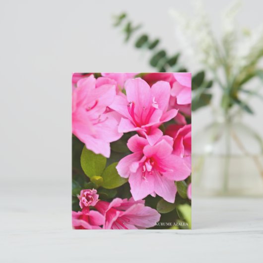 Kurume Azalea Briefkaart (Staand voorkant)