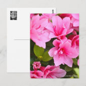 Kurume Azalea Briefkaart (Voorkant / Achterkant)
