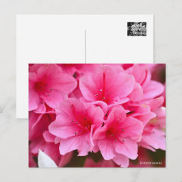 Kurume Azalea Briefkaart
