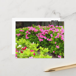 Kurume Azalea Briefkaart