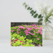 Kurume Azalea Briefkaart (Staand voorkant)