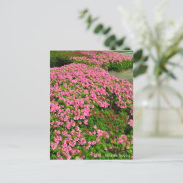 Kurume Azalea Briefkaart