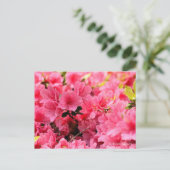 Kurume Azalea Briefkaart (Staand voorkant)