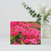 Kurume Azalea Briefkaart (Staand voorkant)