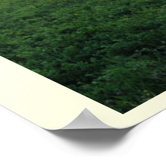 Kurzemes skati poster (Hoek)