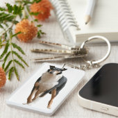 Kurzhaar Collie Sleutelhanger (Voorkant Rechts)