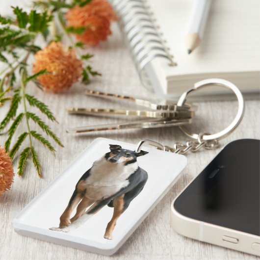 Kurzhaar Collie Sleutelhanger (Voorkant Rechts)