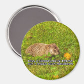 Kus een grondhog vandaag. Haal een rabiësgranaatma Magneet (Voorkant / Achterkant)