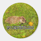 Kus een grondhog vandaag. Haal een rabiësgranaatma Magneet (Voorkant)