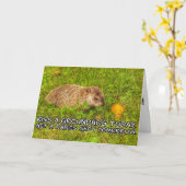 Kus een grondhog vandaag. Haal een rabiëssignaalka Kaart (Gele Bloem)