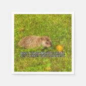 Kus een groundhog vandaag. Krijg een hondsdolheid  Servet (Voorkant)