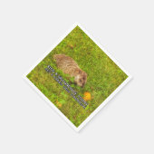 Kus een groundhog vandaag. Krijg een hondsdolheid  Servet (Hoek)