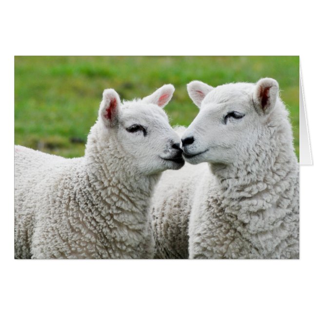 Kus en make up (Voorkant Horizontaal)