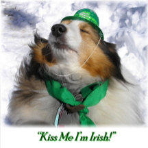 Kus M e I'm Irish! Volwassenen Schort