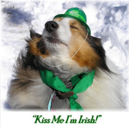 Kus M e I'm Irish! Volwassenen Schort