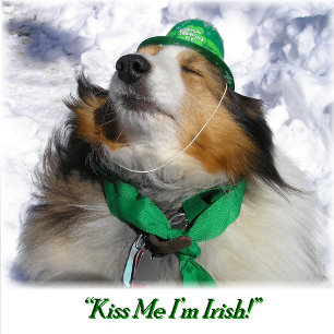 Kus M e I'm Irish! Volwassenen Schort