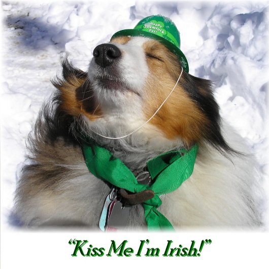 Kus M e I'm Irish! Volwassenen Schort