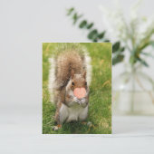 kus me eekhoorn briefkaart (Staand voorkant)
