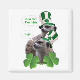 Kus me Ik ben een Iers meerkeukenontwerp Magneet