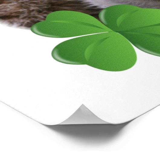 Kus me Ik ben een Iers meerkeukenontwerp Poster (Hoek)