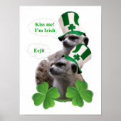 Kus me Ik ben een Iers meerkeukenontwerp Poster (Voorkant)
