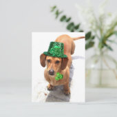 Kus me, ik ben een Iers teckel briefkaart (Staand voorkant)