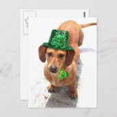 Kus me, ik ben een Iers teckel briefkaart (Voorkant / Achterkant)