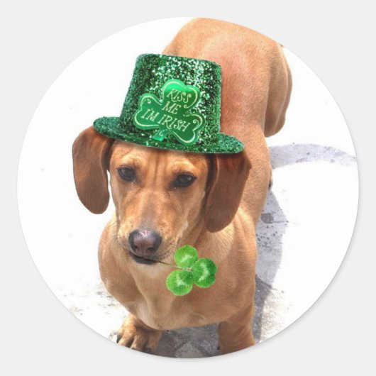 Kus me Ik ben Irish Dachshund stickers (Voorkant)