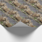 Kus me Quick Wrapping Paper Cadeaupapier (Hoek)