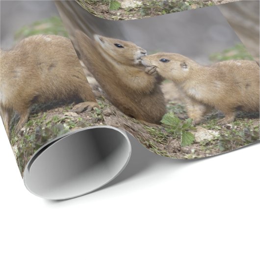 Kus me Quick Wrapping Paper Cadeaupapier (Rol Hoek)