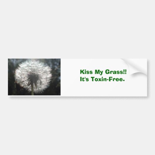 Kus mijn gras!!Het is gifvrij. Bumpersticker (Voorkant)