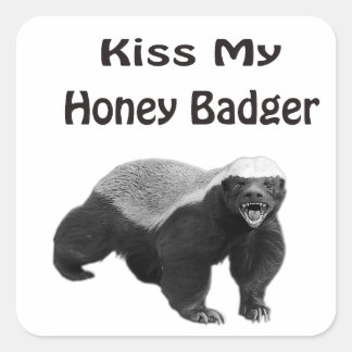 Kus mijn honing das vierkante sticker