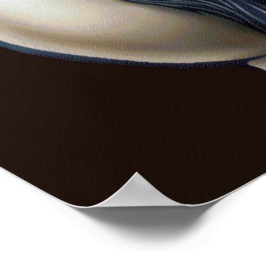 kus mijn poster (Hoek)