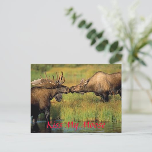 Kus m'n mans. briefkaart (Staand voorkant)