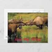 Kus m'n mans. briefkaart (Voorkant / Achterkant)