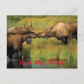 Kus m'n mans. briefkaart (Voorkant)