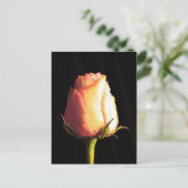 Kus of Rain Briefkaart (Staand voorkant)