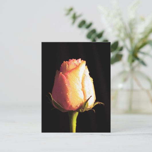 Kus of Rain Briefkaart (Staand voorkant)