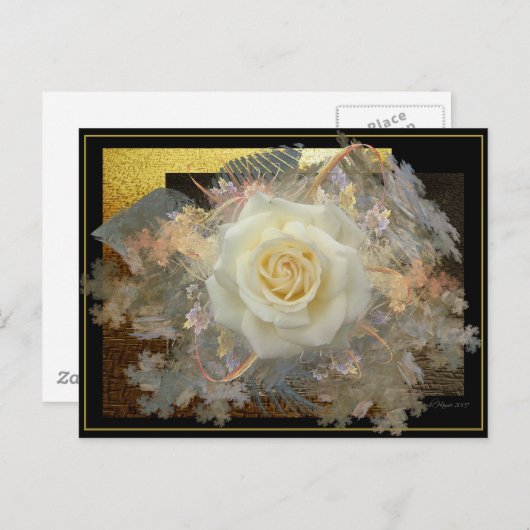 Kus van een Roos Briefkaart (Voorkant / Achterkant)